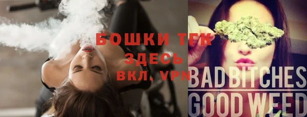 гашик Каменногорск