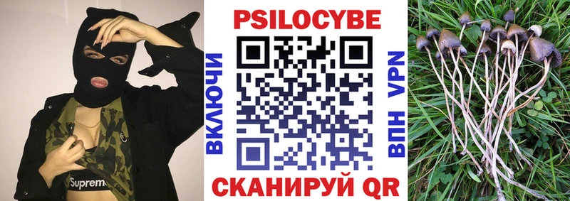 Галлюциногенные грибы прущие грибы  Десногорск 